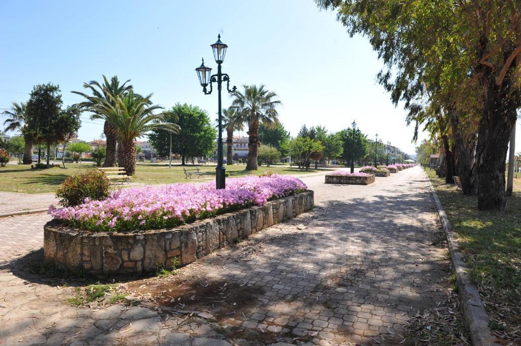 Hotel Eleni Paralia Dionysiou Exterior foto